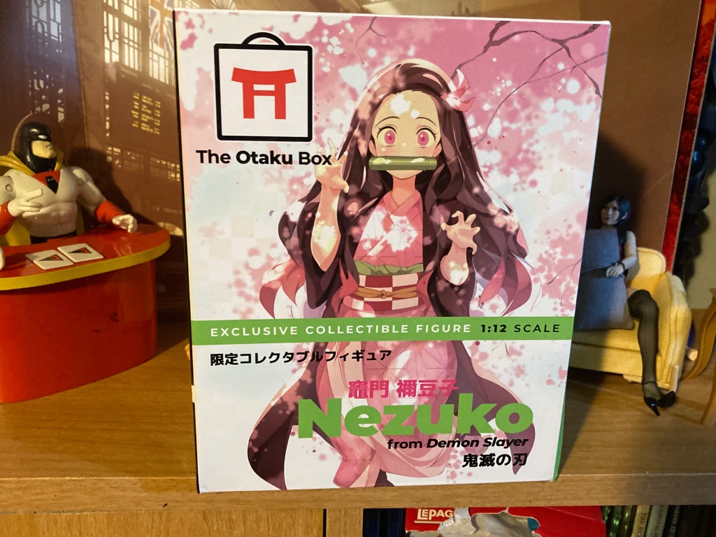 Subscription Box Review: The Otaku Box August 2021